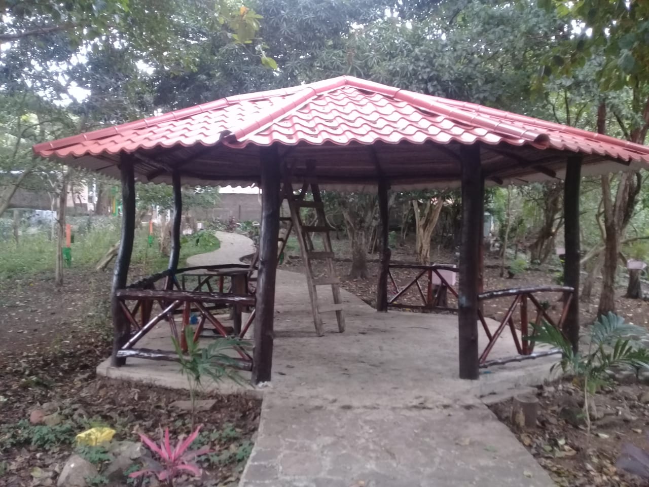 dionisio1